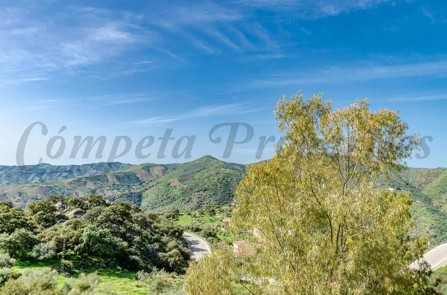 Casa rústica con terraza en venta en Comares, imagen 22
