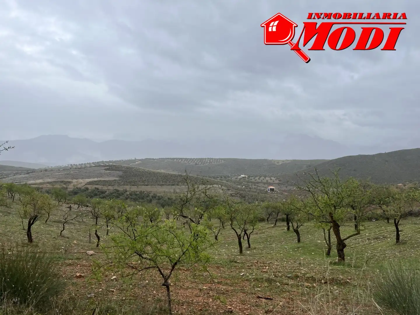 Residencial en venta en Albuñuelas