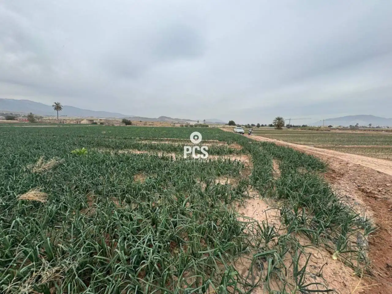 Rustikales Grundstück zum Verkauf in Camino Huertos Nuevos Zona Ñorica S/N, imagen 8