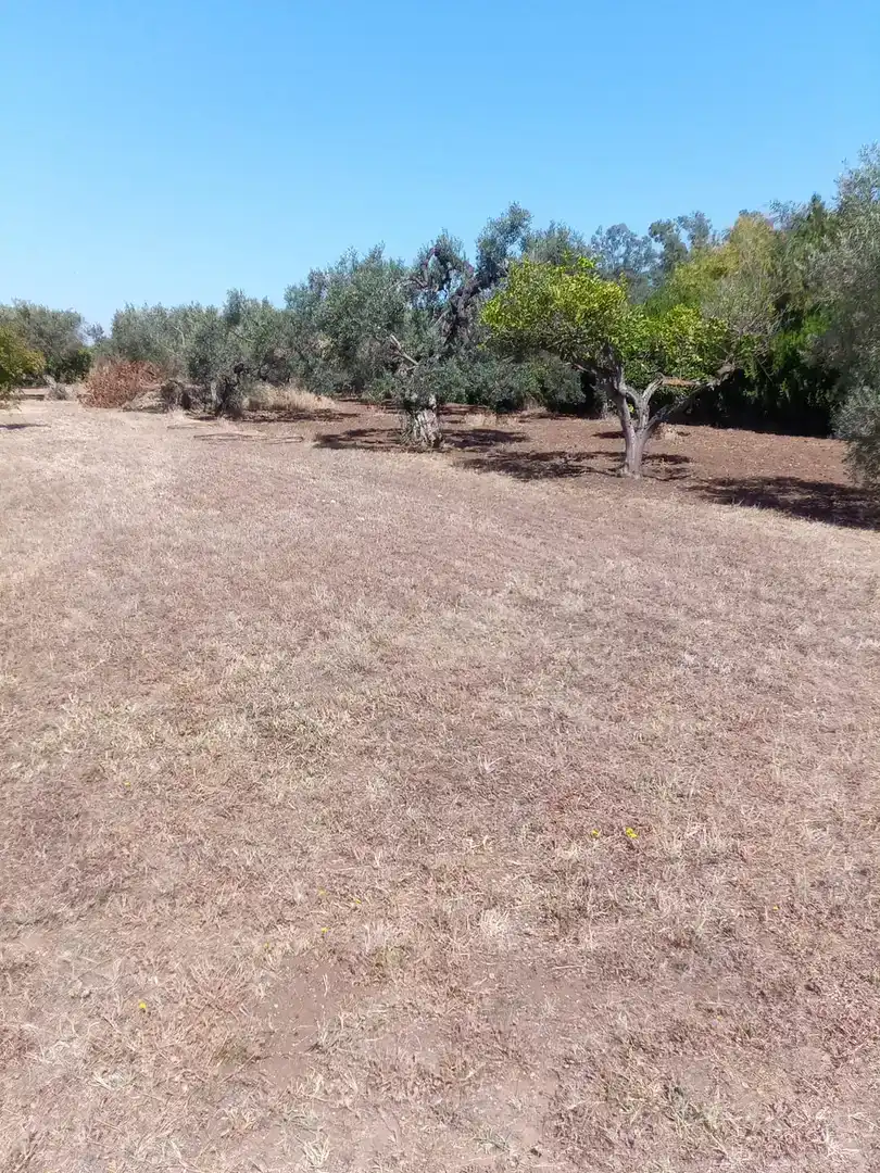 Finca rústica en venta en Utrera con Aire acondicionado, Piscina y Amueblado
