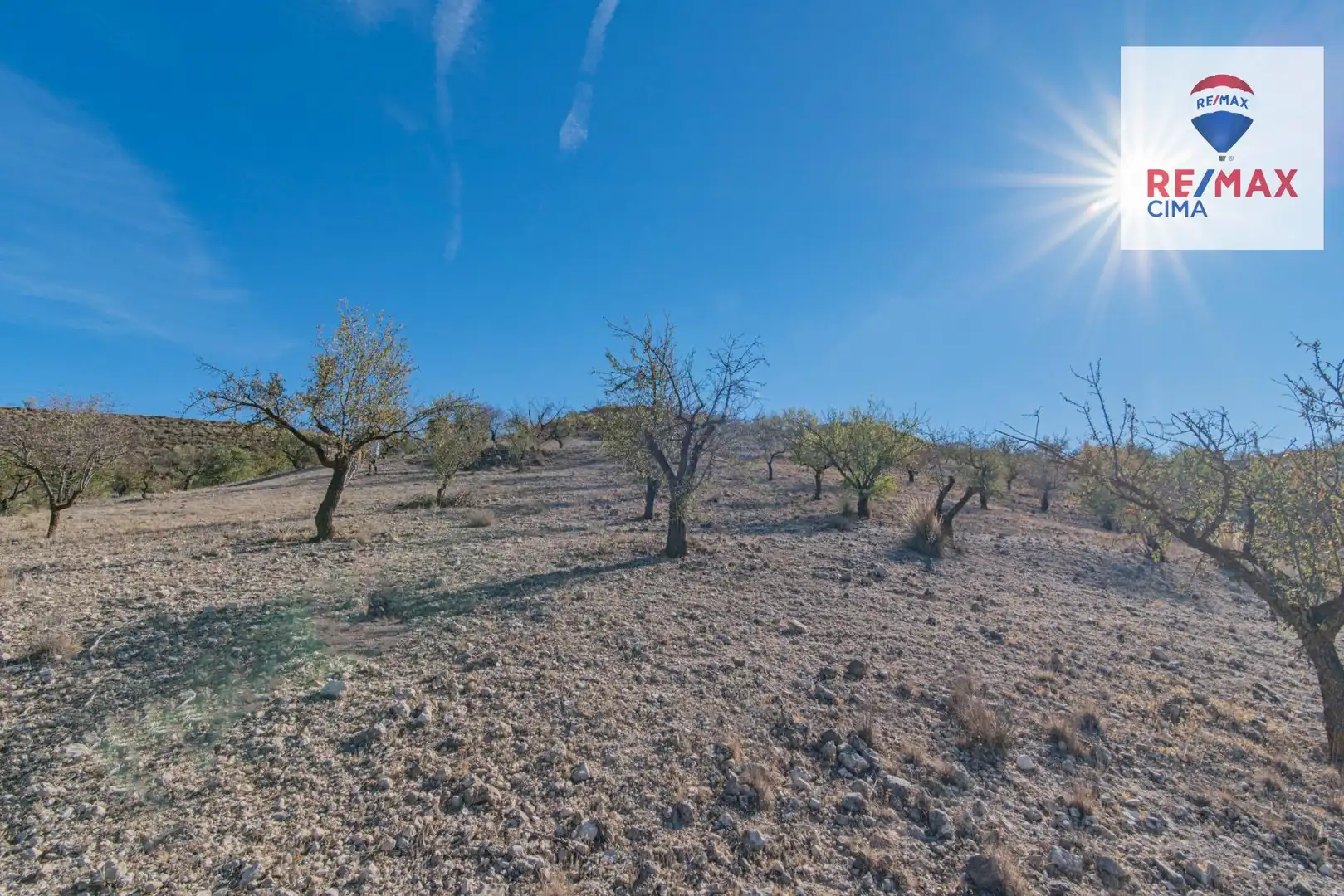 Terreno en venta en Santa Cruz del Comercio