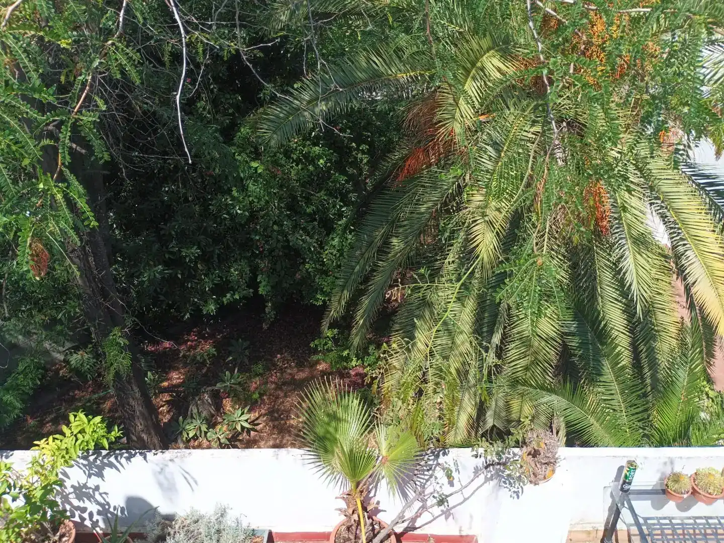 Flat for sale in Sevilla  with Private garden