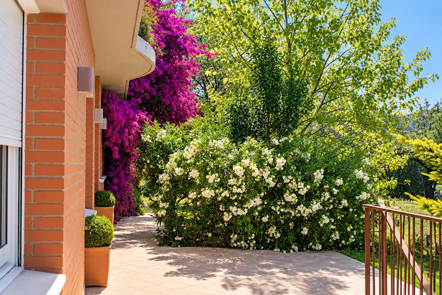 Casa con piscina in vendita a Sant Sadurní d'Anoia, imagen 7