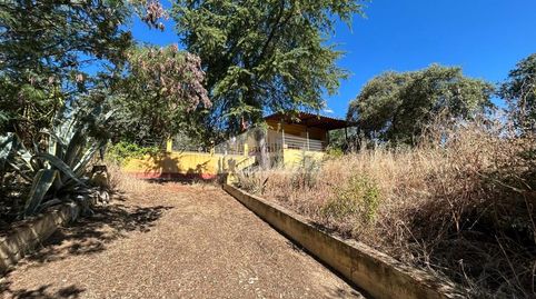 Foto 5 de Casa o chalet en venta en N/a, -1, Orellana de la Sierra, Badajoz