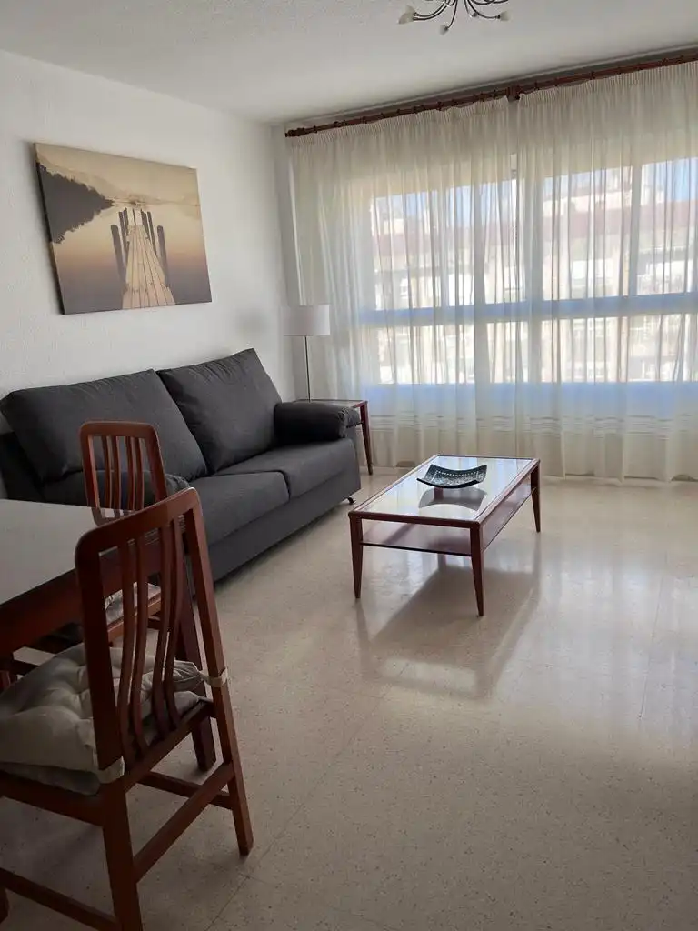 Appartamento con ascensore in affitto a Paseo Maritimo Antonio Machado, imagen 6