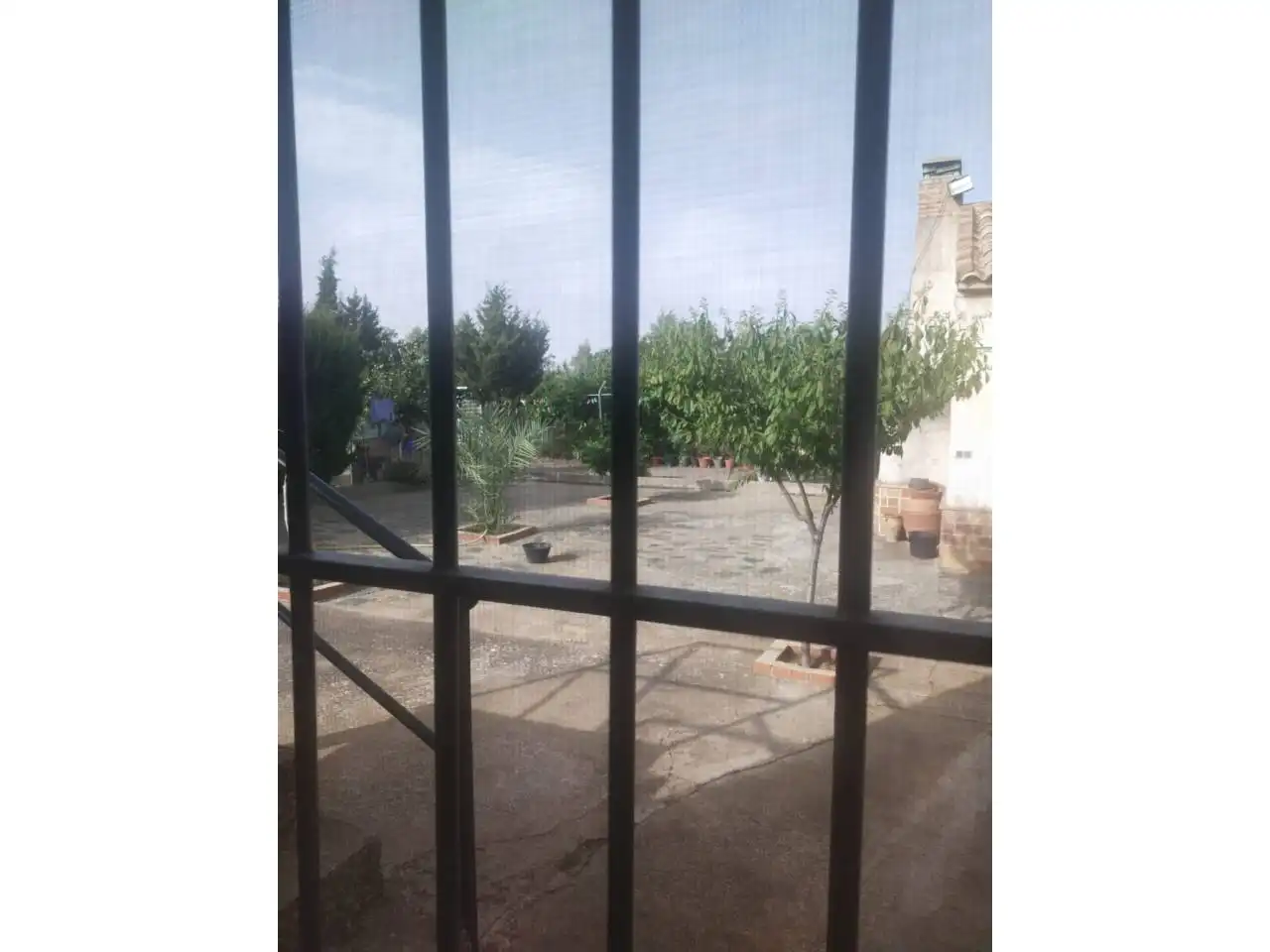 Casa rústica amb piscina en venda a Calle POLIGONO 4 PARCELA 1186, imagen 20
