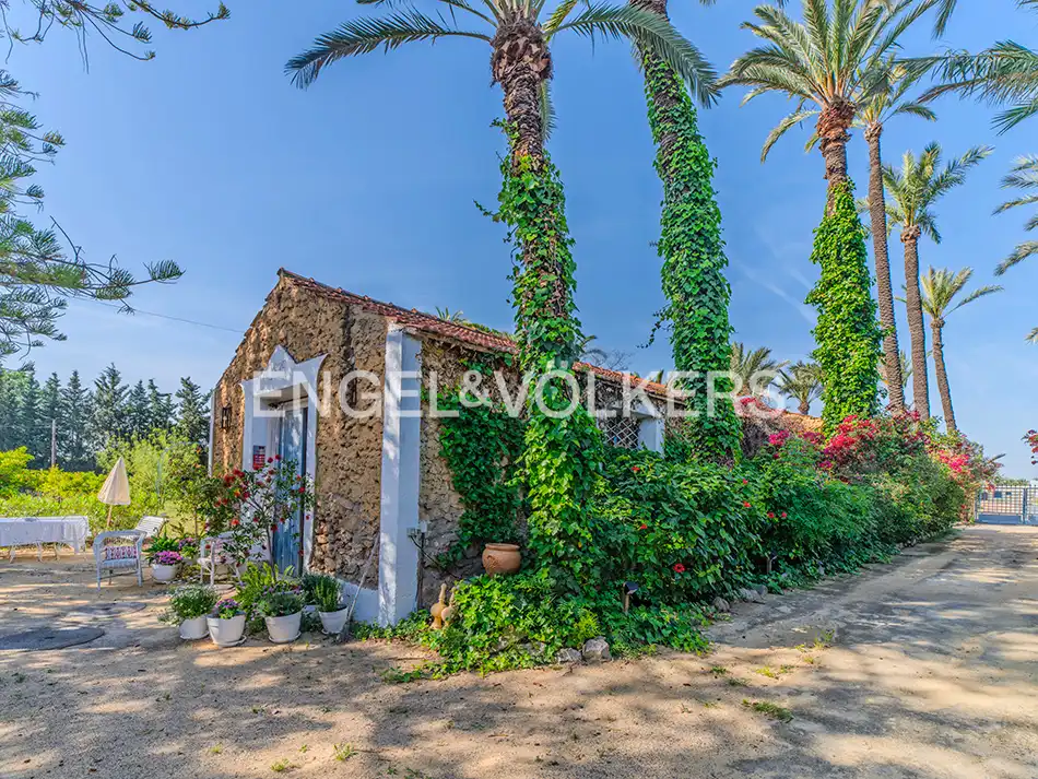 Vista exterior de Casa o xalet en venda en Elche / Elx amb Calefacció, Jardí privat i Terrassa