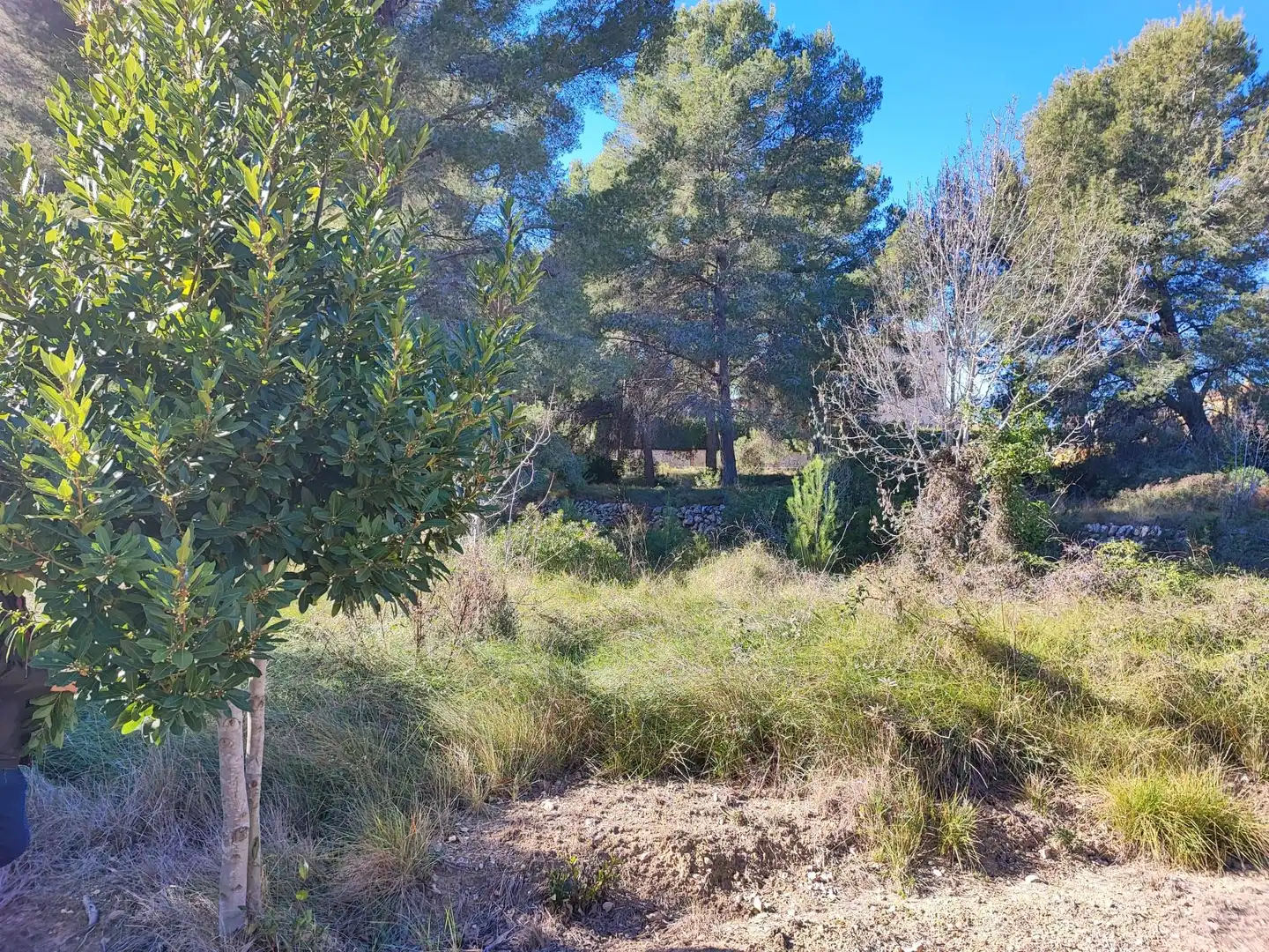 Residential zum Verkauf in Els Pallaresos