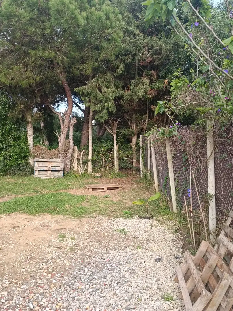 Casa rústica con jardín en venta en Zahora, imagen 38