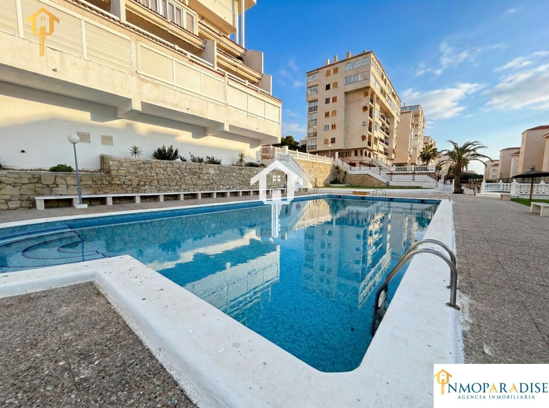 Swimming pool of Single-family semi-detached for sale in Elche / Elx  with Air Conditioner, Terrace and Furnished