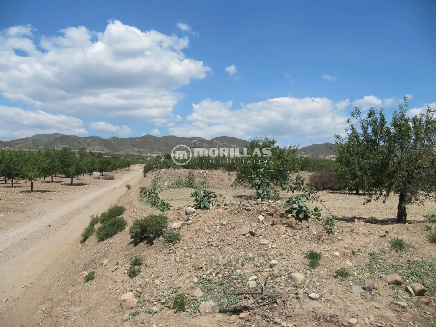 Terreny rústic en venda a Puerto Lumbreras, imagen 2