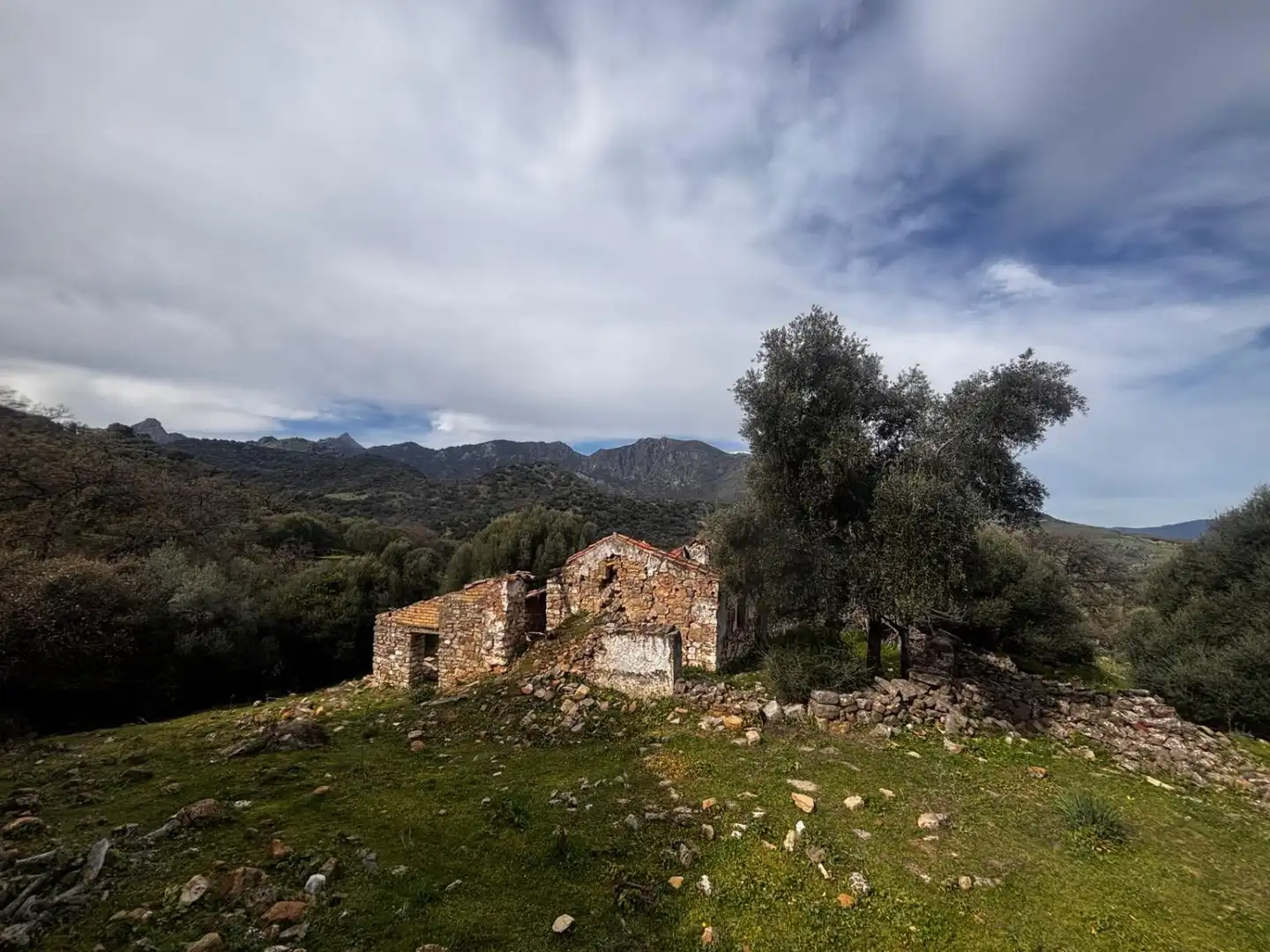 Terrenys i solars en venda a Grazalema, imagen 5