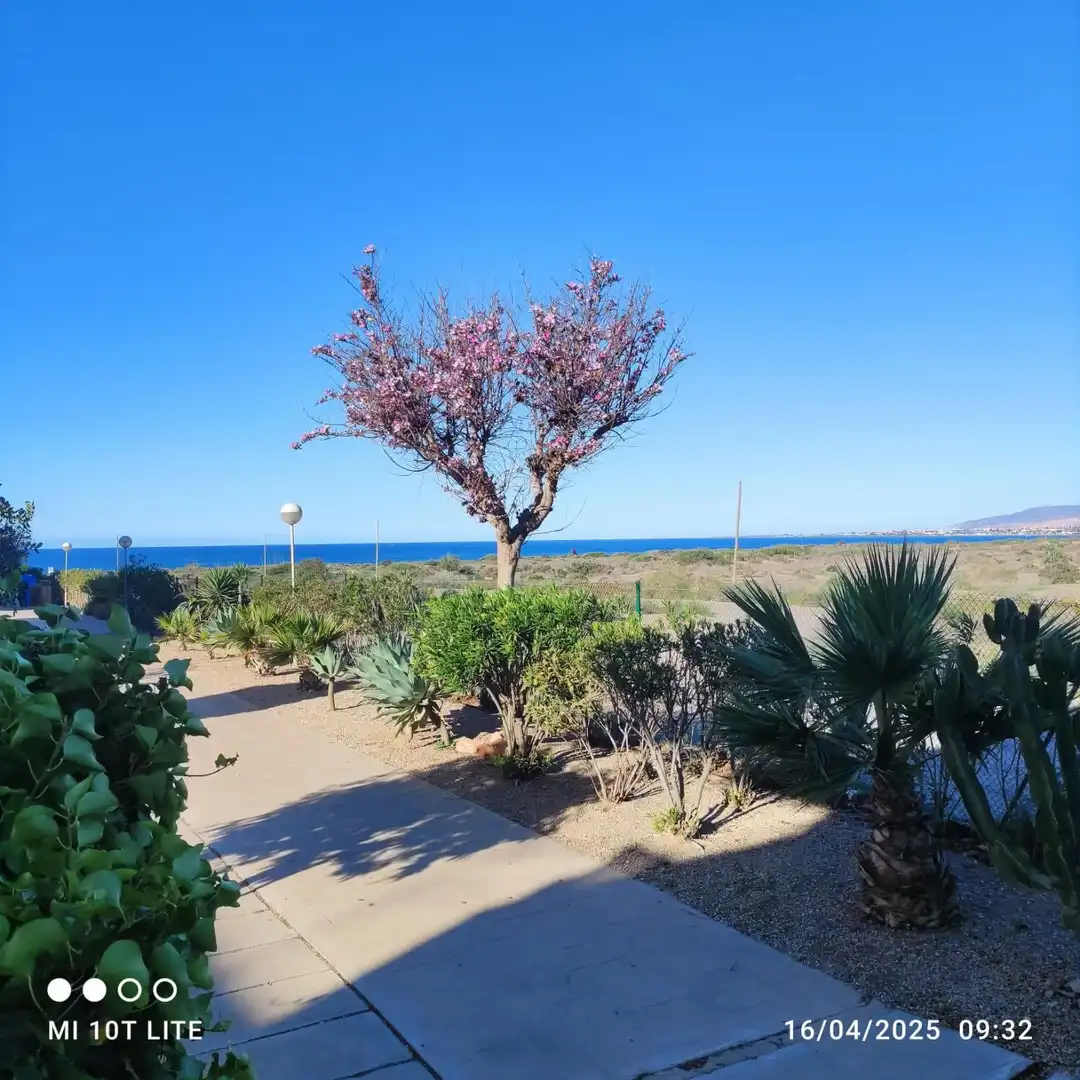 Vista exterior de Piso en venta en Almería con Trastero, Amueblado y Piscina comunitaria