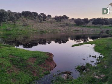 Terrenos y solares en venta en Casco Antiguo