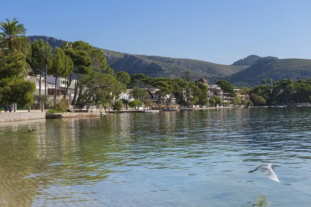 Terrain rustique à vendre à Port de Pollença, imagen 16
