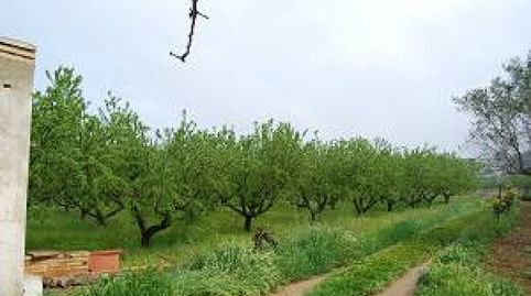 FINCA RUSTICA EN ZONA DE  REGADIO