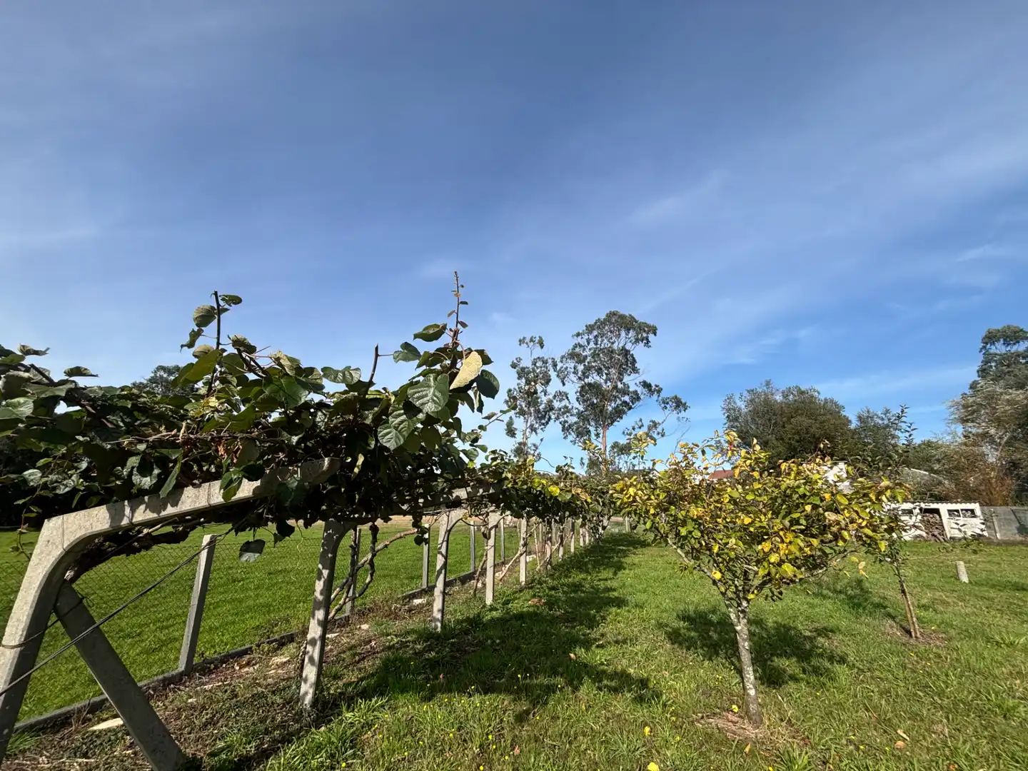 Vista exterior de Casa o chalet en venta en Santiago de Compostela  con Calefacción, Jardín privado y Parquet