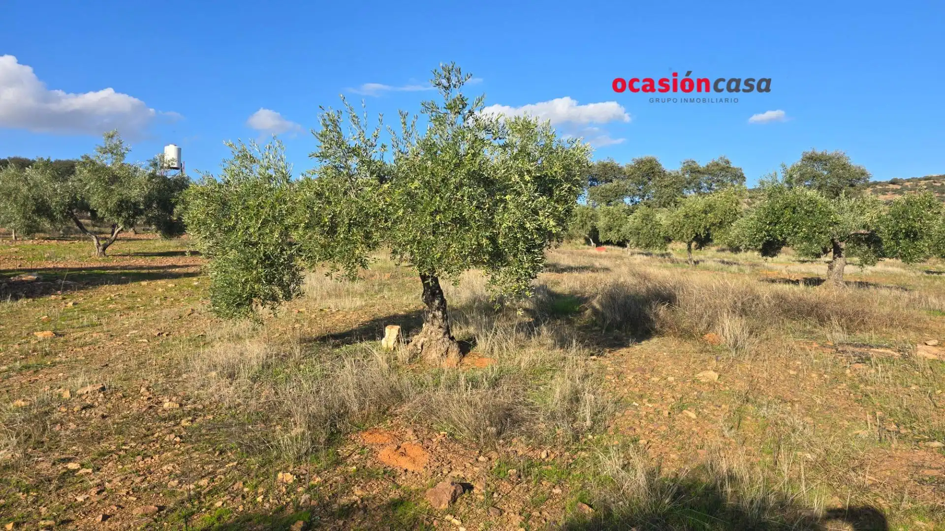 Wohnbaugrundstück zum Verkauf in La Granjuela, imagen 18