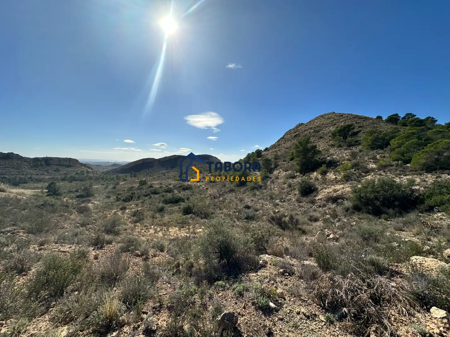 Terreny rústic en venda a Calle de La Morera 11, imagen 3