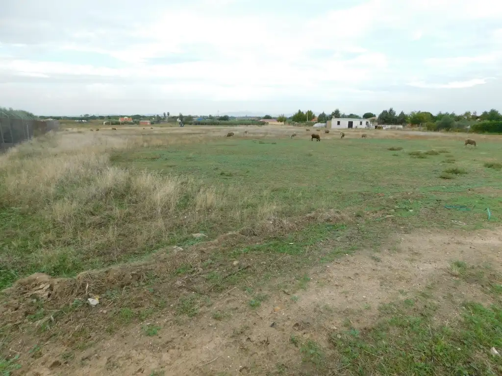 Terrain rustique à vendre à Don Benito, imagen 2