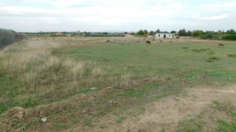 PARCELA RUSTICA EN LAS ARENAS, imagen 2