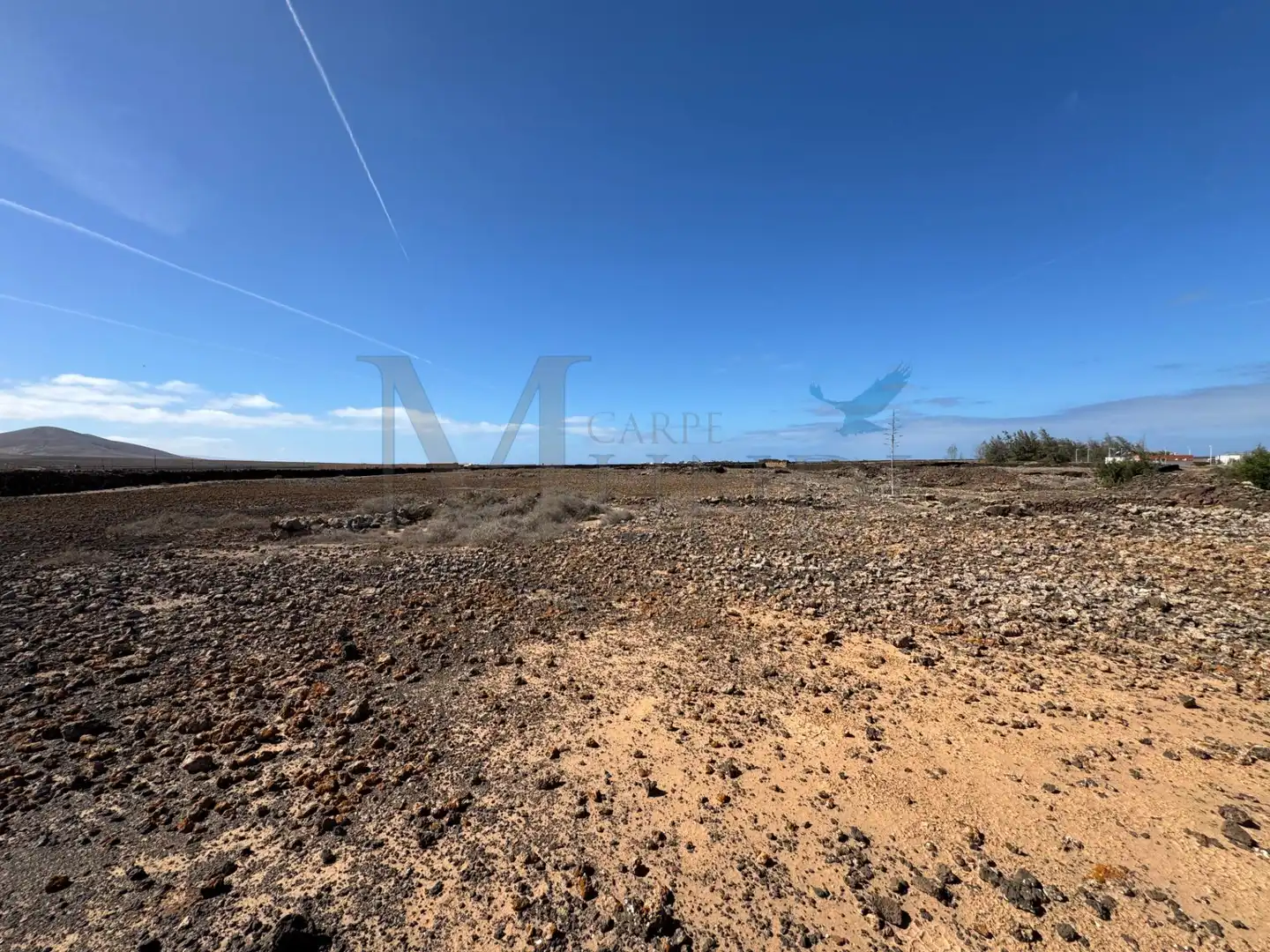 Land for sale in La Oliva