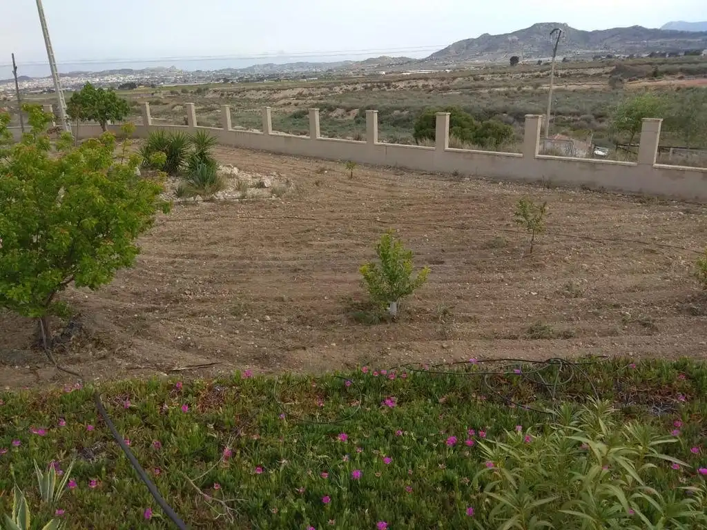 Houses for sale in Novelda  with Private garden, Terrace and Swimming Pool