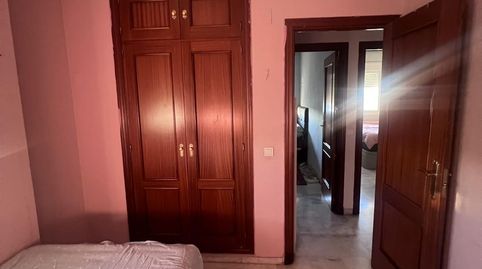 Foto 5 de Habitació a La Oliva, Sevilla Capital