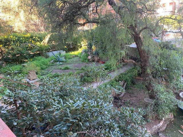 Jardí de Planta baixa en venda en Castelldefels amb Jardí privat, Terrassa i Traster