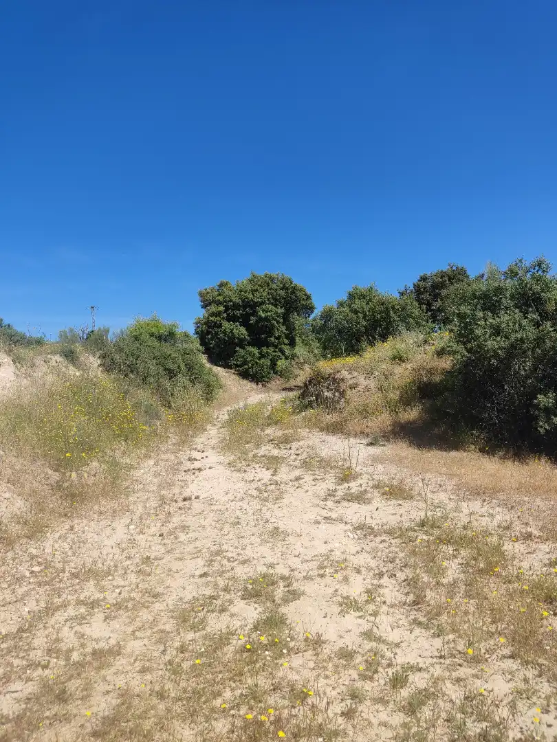 Land for sale in Navalcarnero