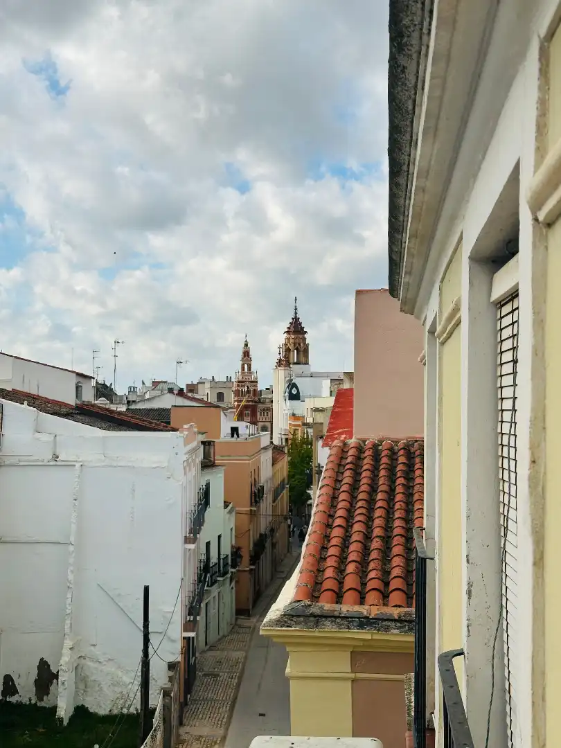 Immobles singulars en venda a Casco Antiguo, imagen 9