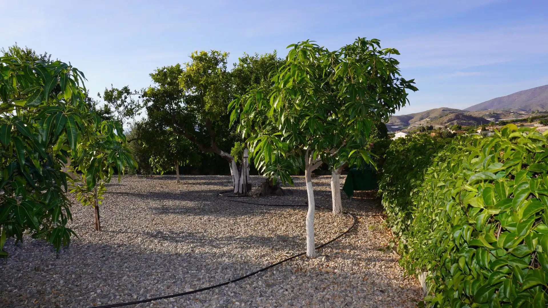 Jardí de Finca rústica en venda en Motril amb Aire condicionat, Terrassa i Traster