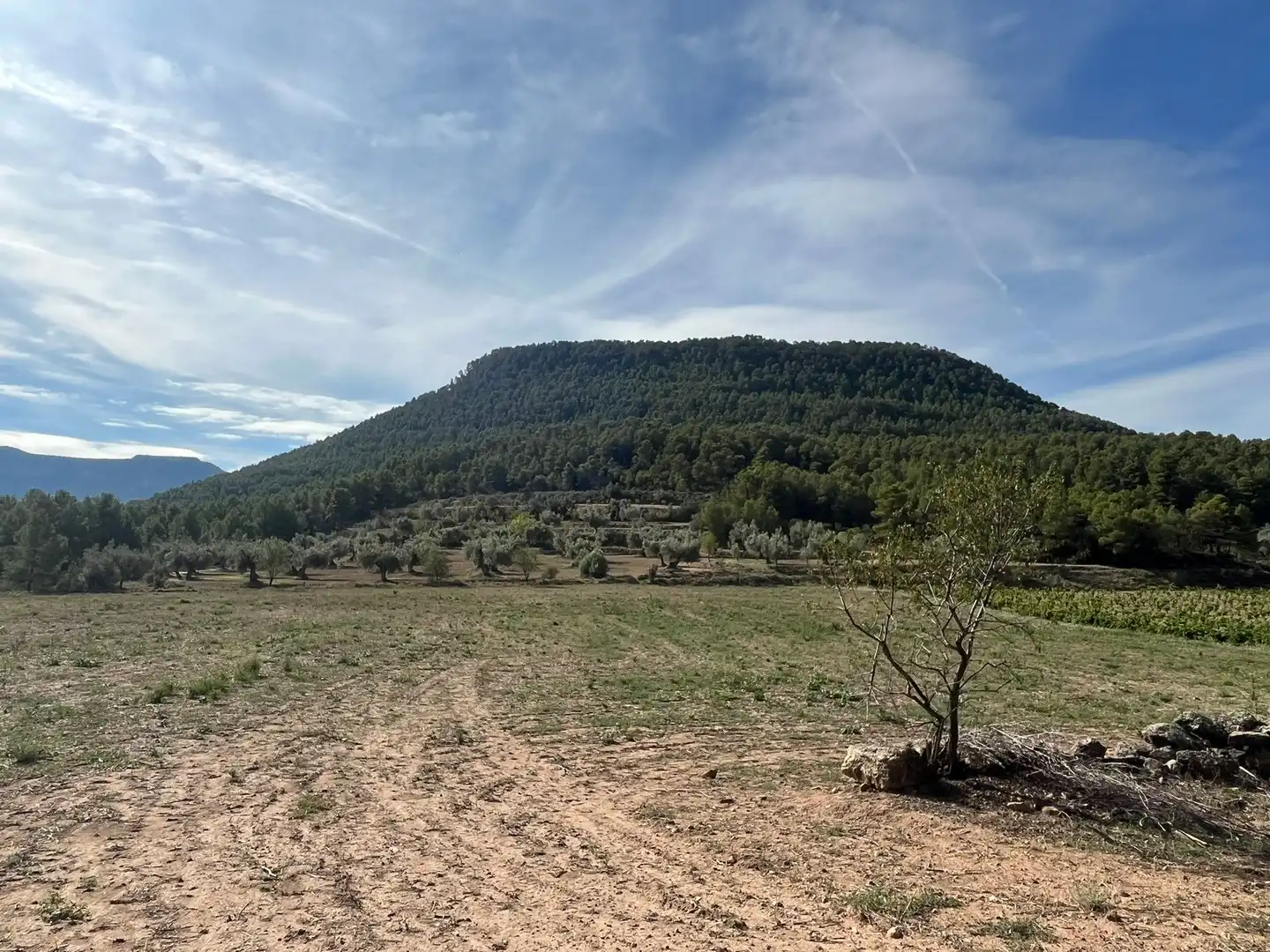 Terreni e lotti in vendita a Valderrobres