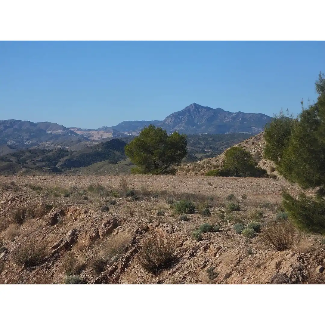 Lands and plots for sale in Abanilla, imagen 4