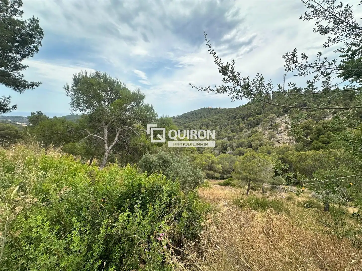 Terreny rústic en venda a Castellet i la Gornal, imagen 3