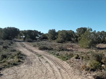 Rural land for sale in LO MESEGUER. LOS MONTESINOS, POL 1