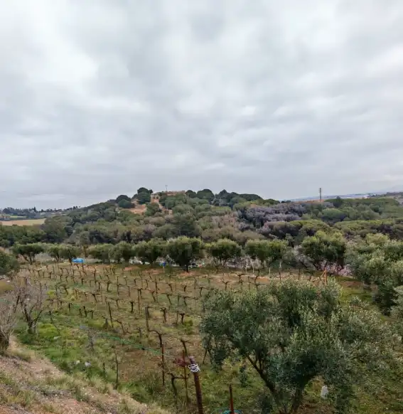 Terreni e lotti in vendita a Zona Industrial