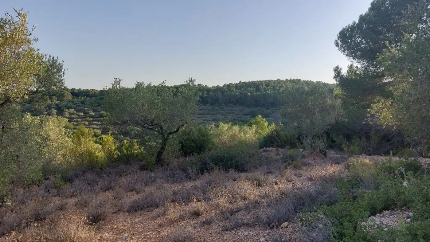 Terreno rustico in vendita a El Perelló, imagen 3