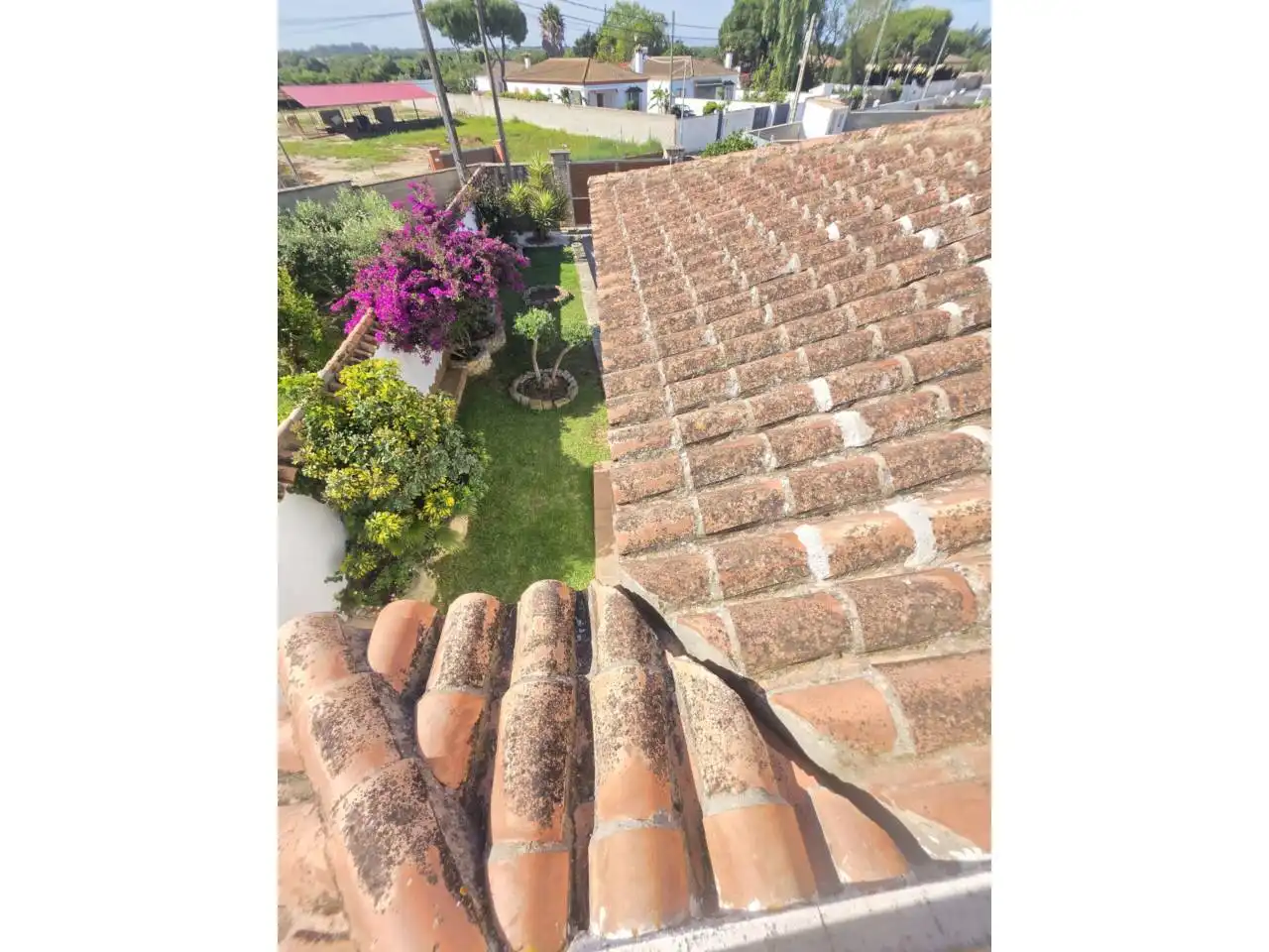 Garden of Houses for sale in Chiclana de la Frontera  with Terrace and Swimming Pool