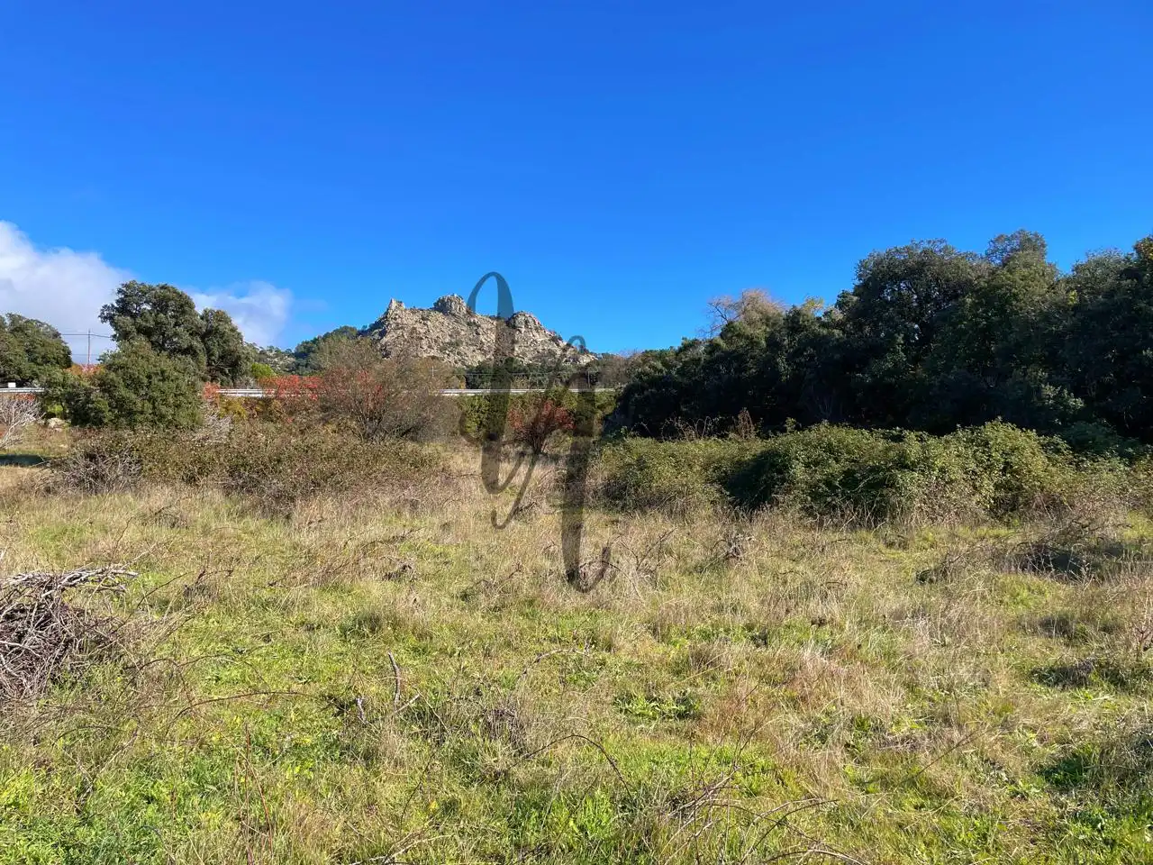 Terreno rústico en venta en paraje castellana, imagen 9