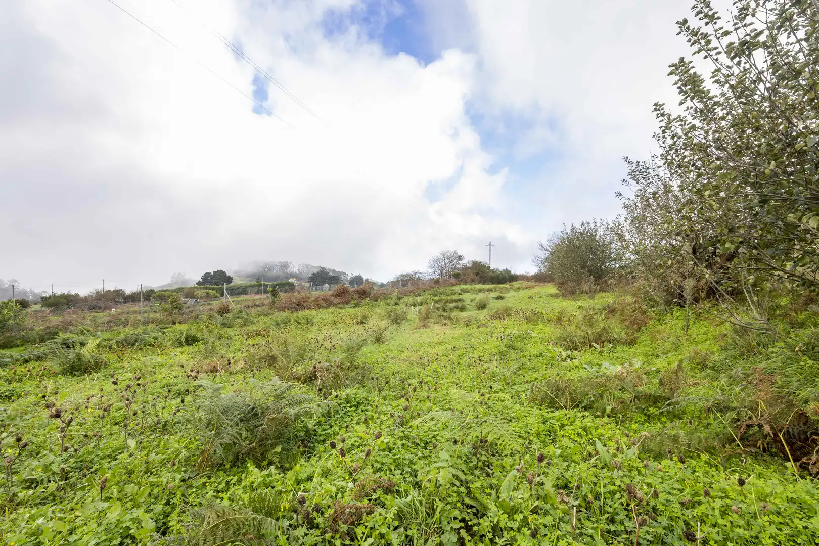 Finca rústica en venta en San Cristóbal de la Laguna con Calefacción, Jardín privado y Terraza