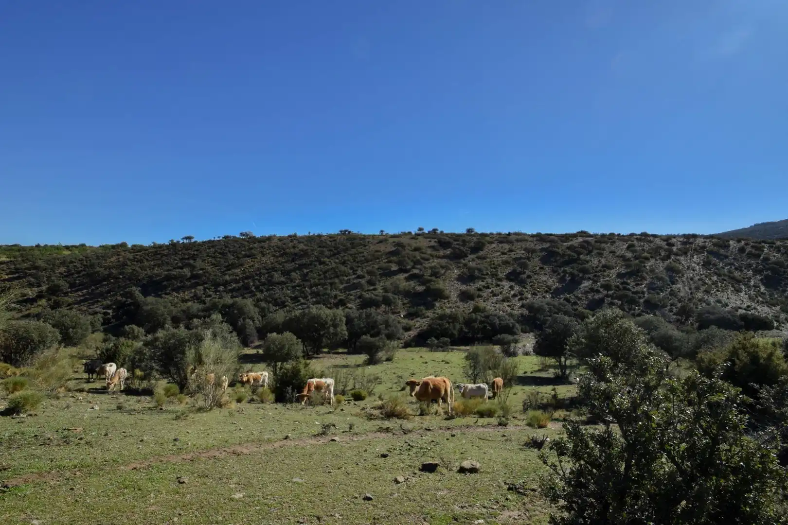 Terreno en venta en Paraje de las Perdices, Lugros