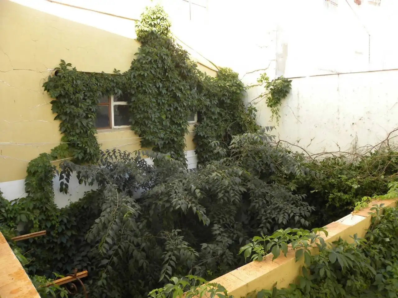 Maison avec jardin à vendre à Caravaca de la Cruz, imagen 9