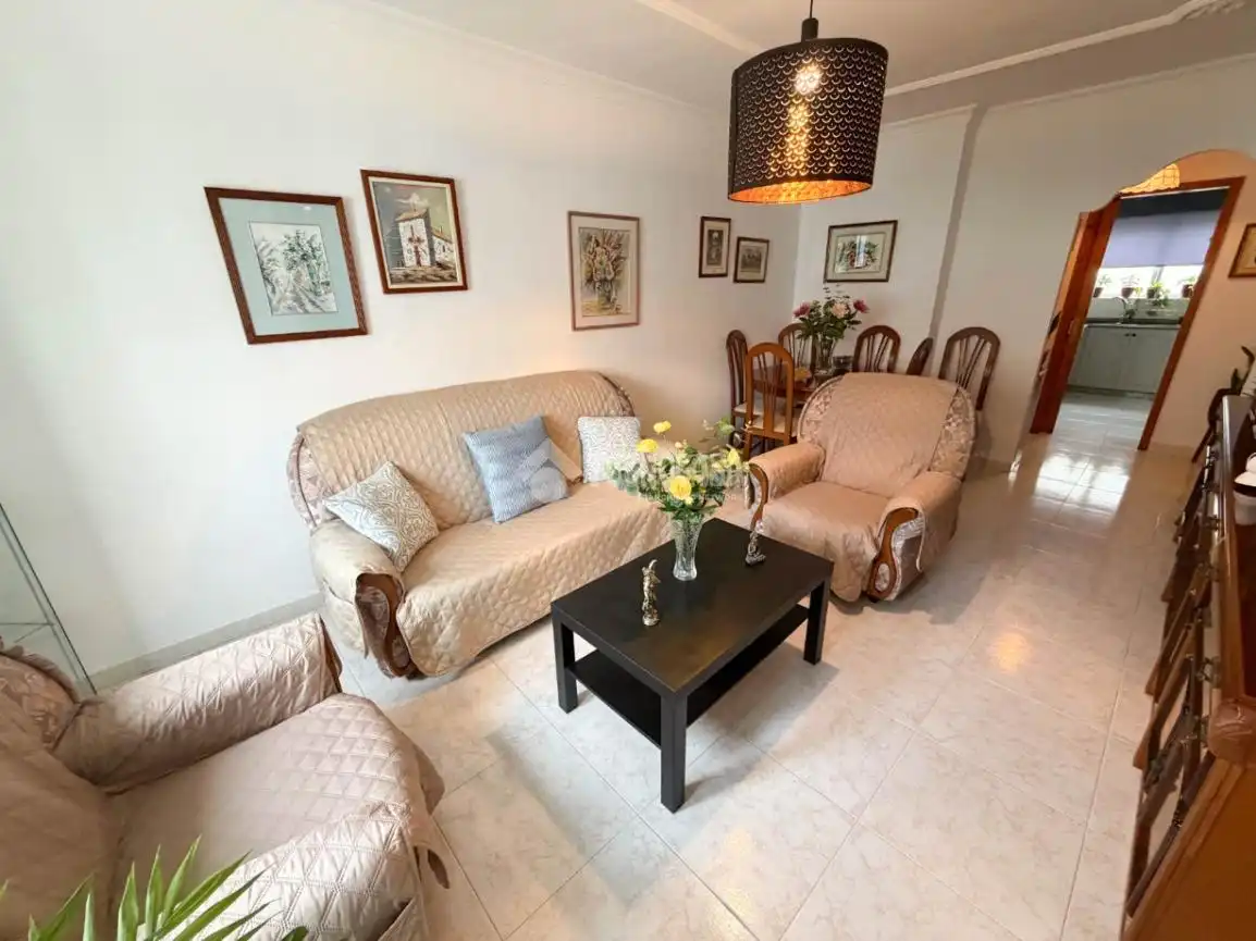 Sala de estar de Piso en venta en Las Palmas de Gran Canaria con Terraza