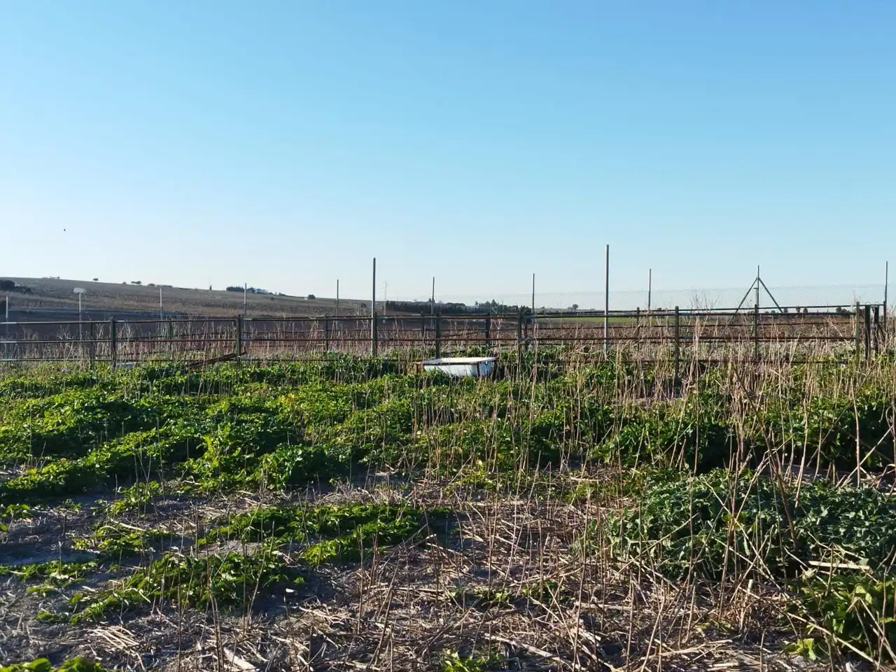 Rustikales Grundstück zum Verkauf in La Cañada, imagen 4
