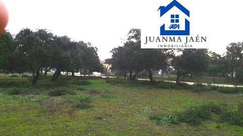 Photo 3 of Residential for sale in Pelagatos - Pago del Humo, Cádiz