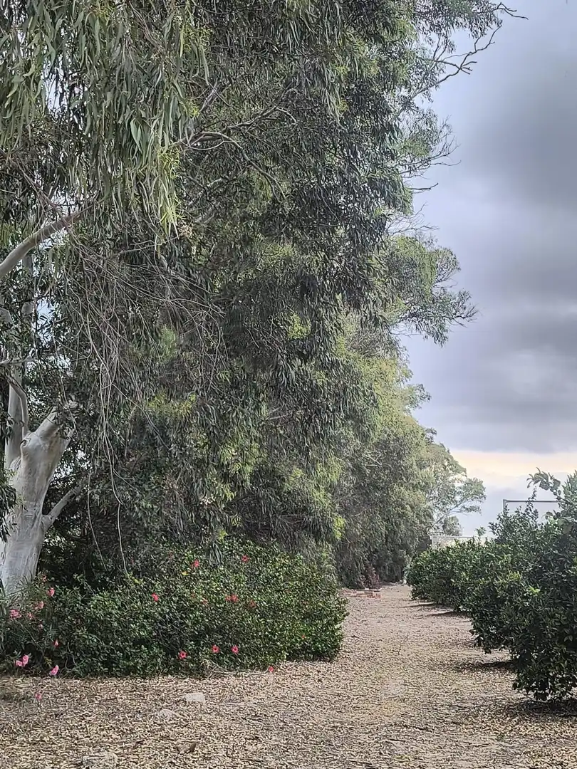 Finca rústica en venta en Cullera con Calefacción, Jardín privado y Terraza