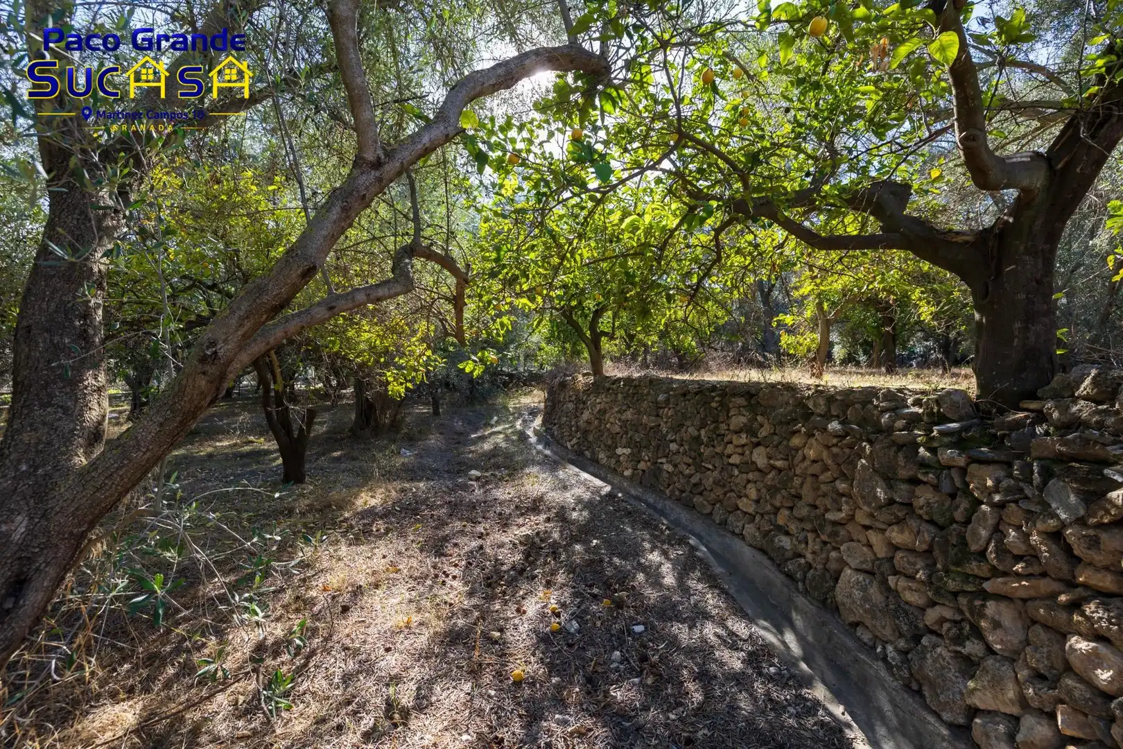 Terreno rustico in vendita a PINOS DEL VALLE, imagen 9