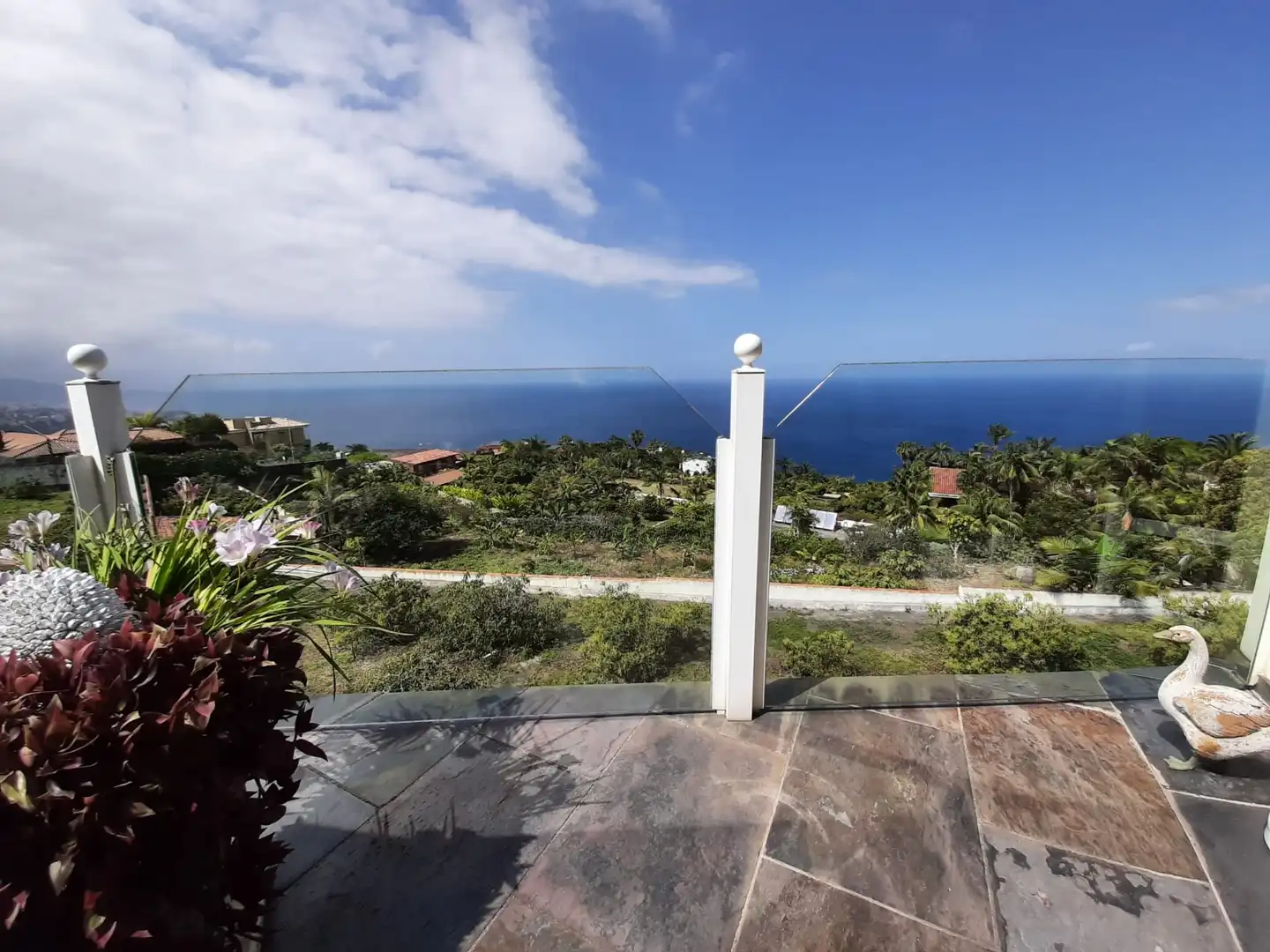 Vista exterior de Casa o chalet en venta en Santa Úrsula con Jardín privado, Terraza y Piscina