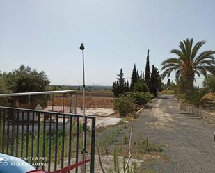 Casa o xalet en venda en Elche / Elx amb Calefacció i Jardí privat